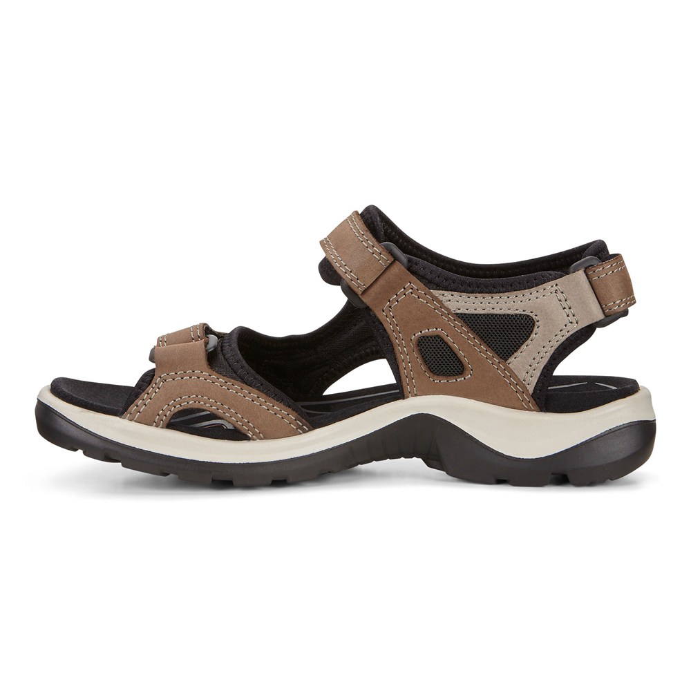 ECCO Womens Sandals Beige - Yucatan - COJ-456092